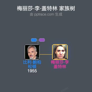 梅丽莎·李·盖特林 家族树全览