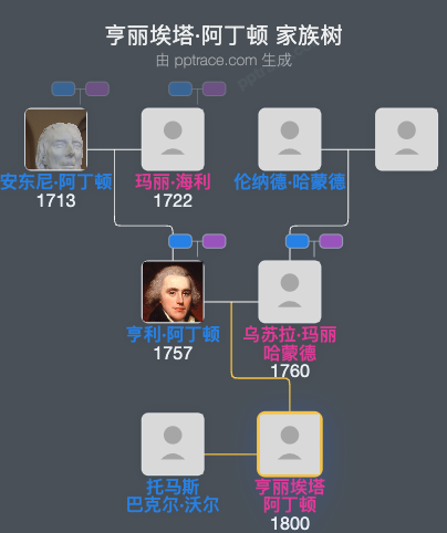亨丽埃塔·阿丁顿家族树全览