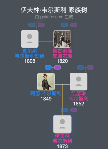 伊夫林·韦尔斯利家族树全览