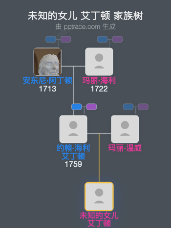 未知的女儿 艾丁顿家族树全览