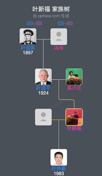 叶新福 家族树全览