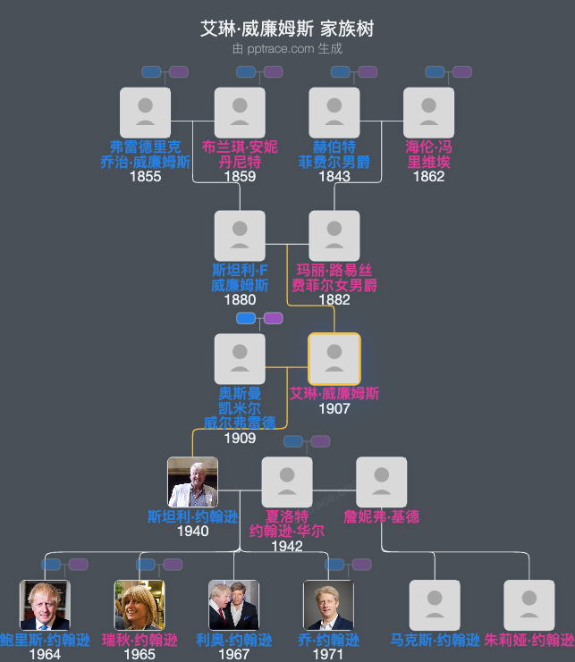 艾琳·威廉姆斯家族树全览