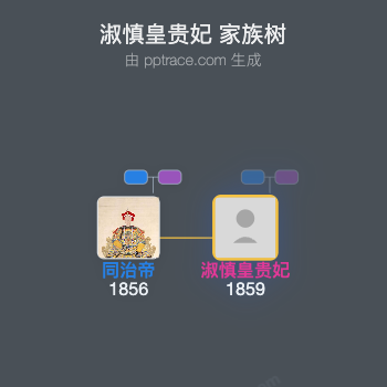 淑慎皇贵妃家族树全览