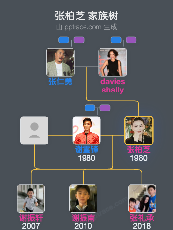 张柏芝 家族树全览
