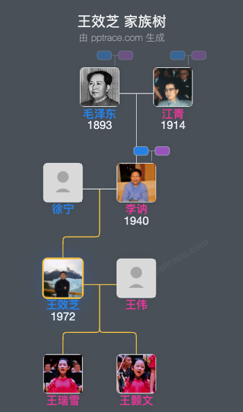 王效芝 家族树全览