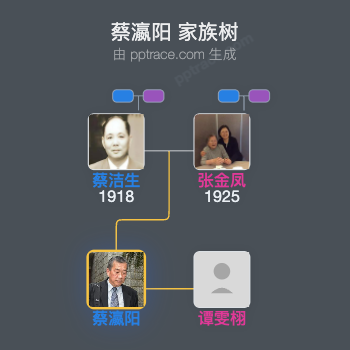 蔡瀛阳家族树全览