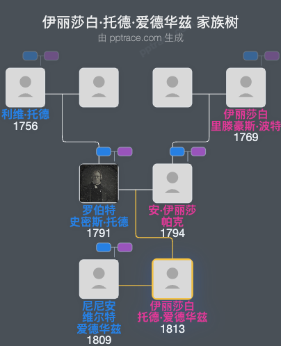 伊丽莎白·托德·爱德华兹家族树全览