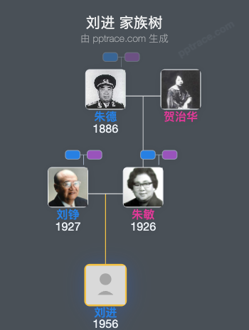 刘进 家族树全览