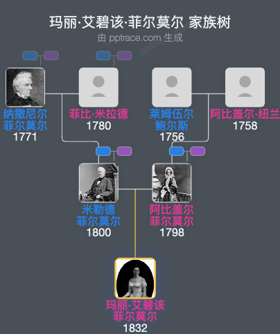 玛丽·艾碧该·菲尔莫尔家族树全览