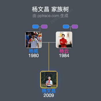 杨文昌家族树全览