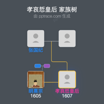 孝哀悊皇后家族树全览