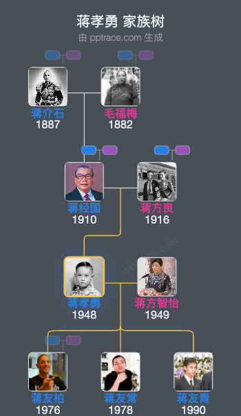 蒋孝勇 家族树全览