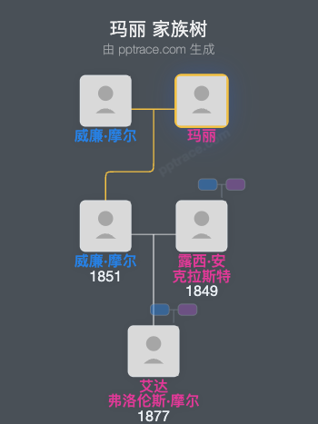 玛丽家族树全览