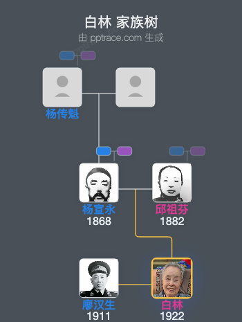 白林 家族树全览