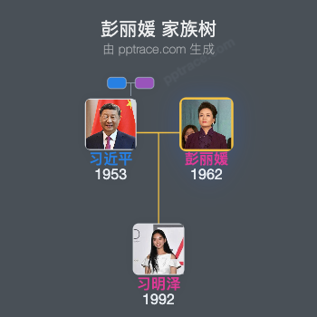 彭丽媛 家族树全览