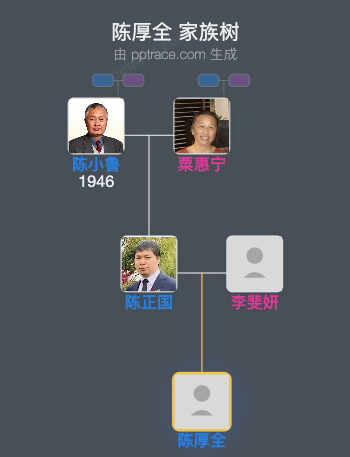 陈厚全 家族树全览