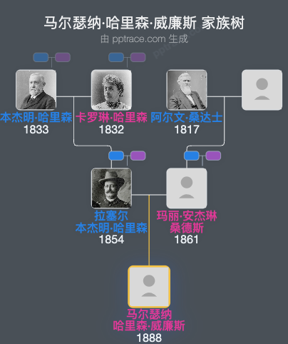 马尔瑟纳·哈里森·威廉斯家族树全览