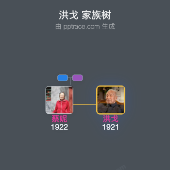 洪戈 家族树全览