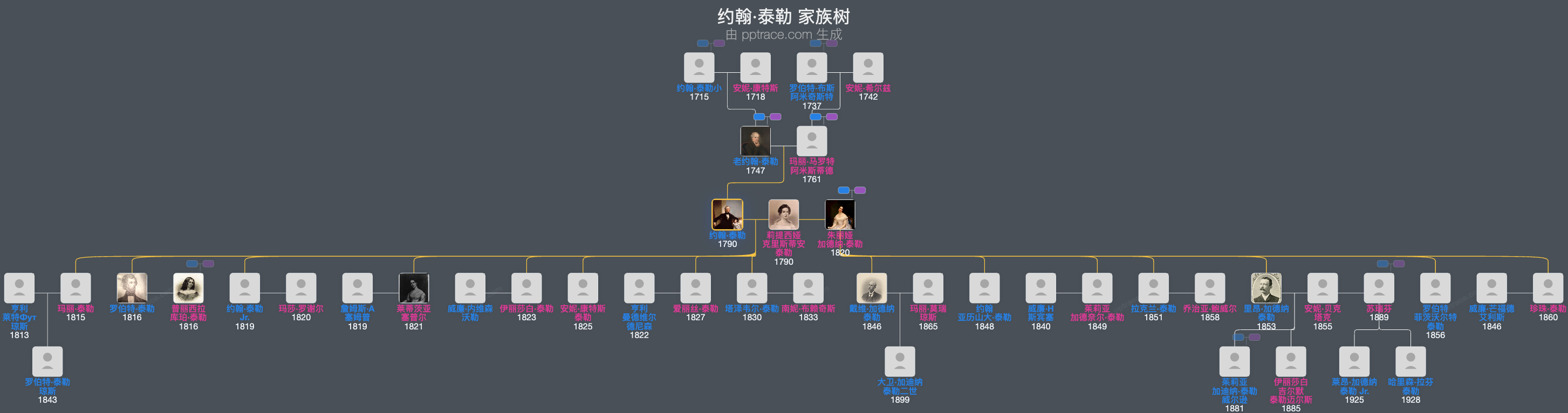 约翰·泰勒家族树全览