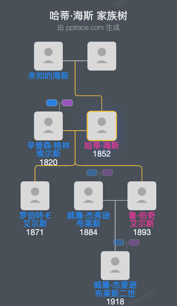 哈蒂·海斯家族树全览