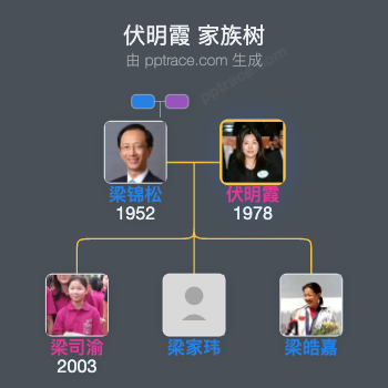 伏明霞 家族树全览