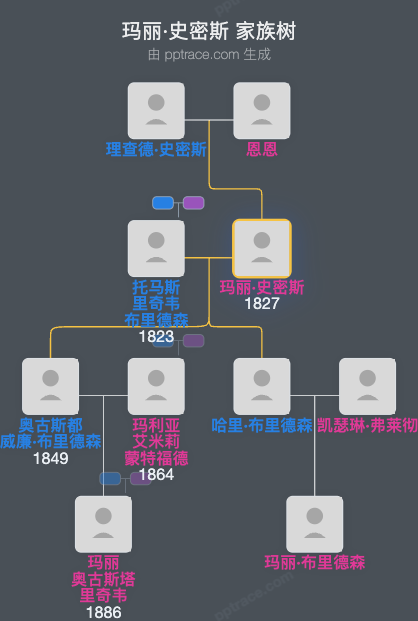 玛丽·史密斯家族树全览