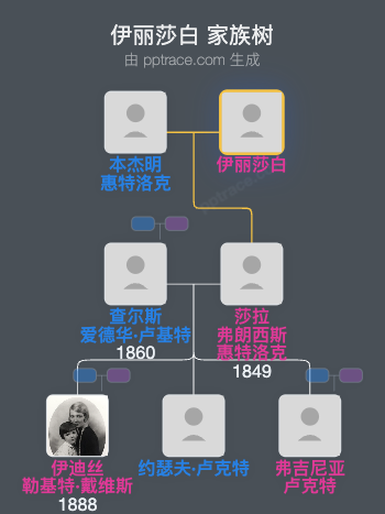 伊丽莎白家族树全览