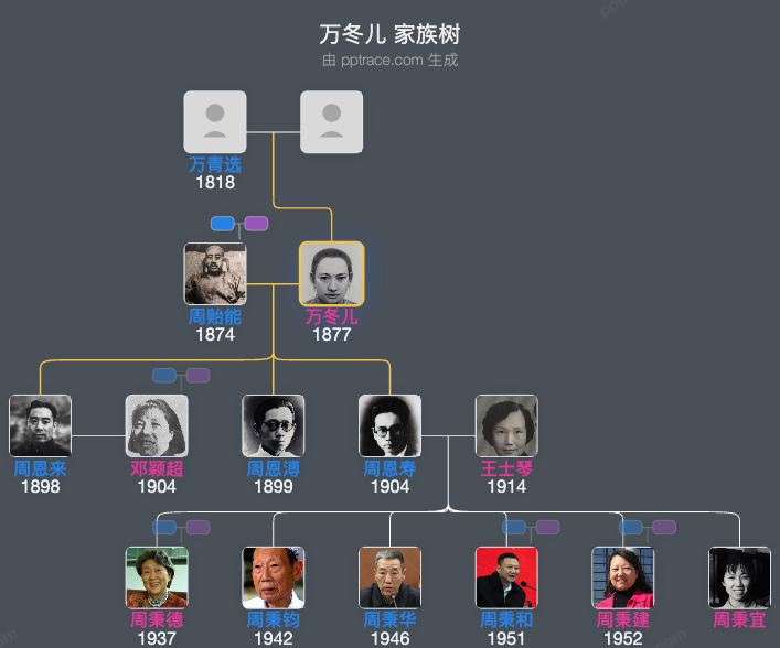 万冬儿 家族树全览