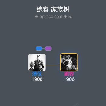 婉容家族树全览