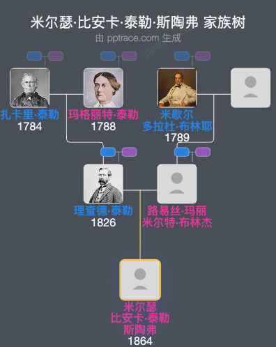 米尔瑟·比安卡·泰勒·斯陶弗家族树全览