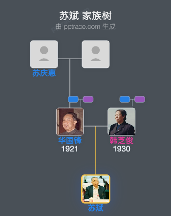 苏斌 家族树全览