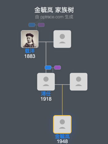 金毓岚家族树全览