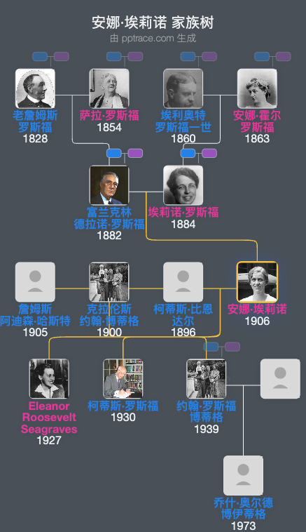 安娜·埃莉诺家族树全览