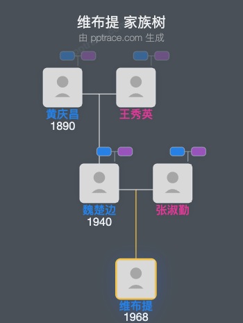 维布提 家族树全览