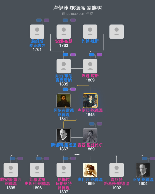 卢伊莎·鲍德温家族树全览