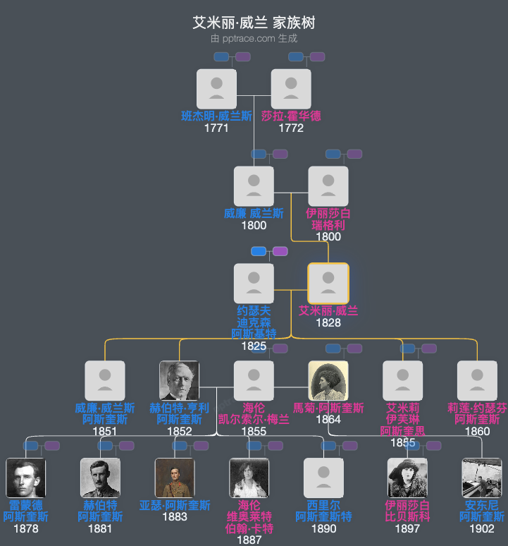 艾米丽·威兰家族树全览