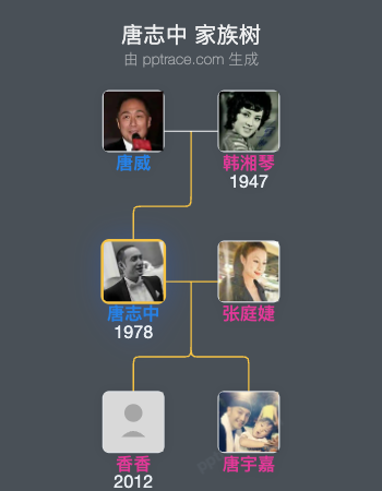 唐志中 家族树全览