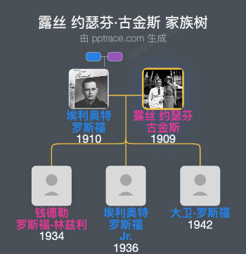 露丝 约瑟芬·古金斯家族树全览