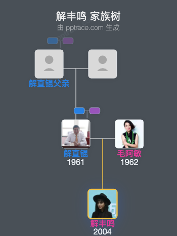 解丰鸣 家族树全览