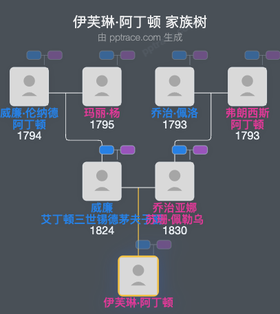 伊芙琳·阿丁顿家族树全览