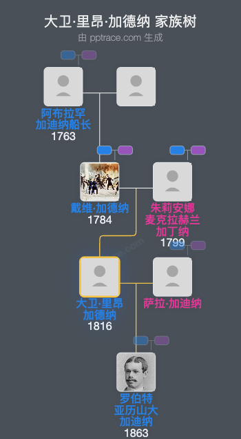 大卫·里昂·加德纳家族树全览