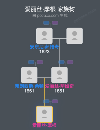 爱丽丝·摩根家族树全览