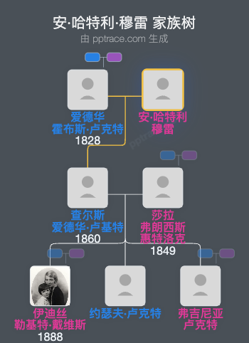 安·哈特利·穆雷家族树全览