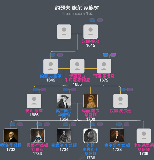 约瑟夫·鲍尔家族树全览