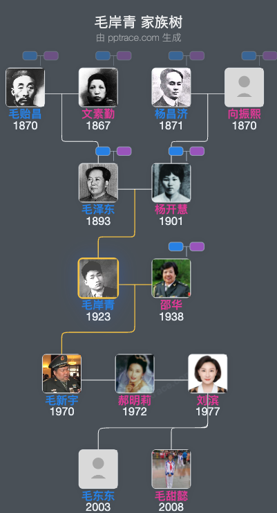 毛岸青 家族树全览