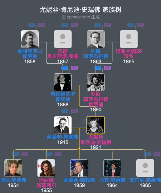 尤妮丝·肯尼迪·史瑞佛家族树全览