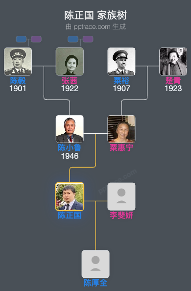 陈正国 家族树全览