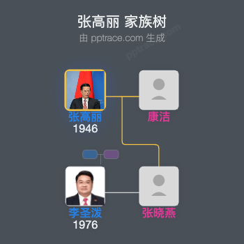 张高丽 家族树全览
