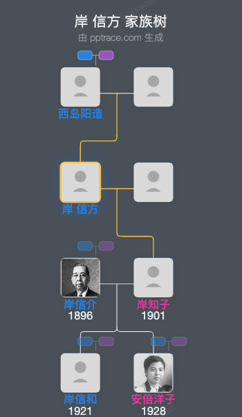 岸 信方家族树全览