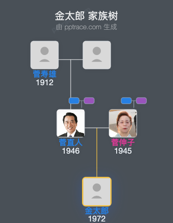 金太郎家族树全览